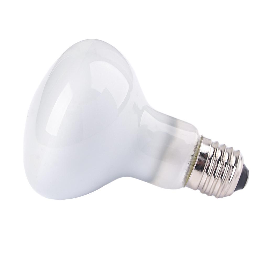 Lizard Heater Heat Lamp UVA Li - Basking Bulb Halogen 评论和价格