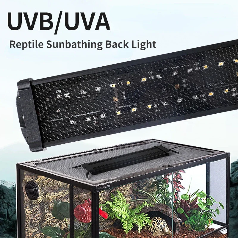 Reptile UVA+UVB Full Spectrum  - Calcium Powder Reptile 评论和价格