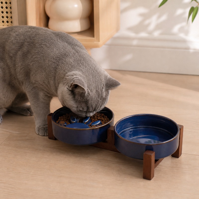 Japanese-style Kiln Ceramic Pe - Royal Canin Food Medium 评论和价格