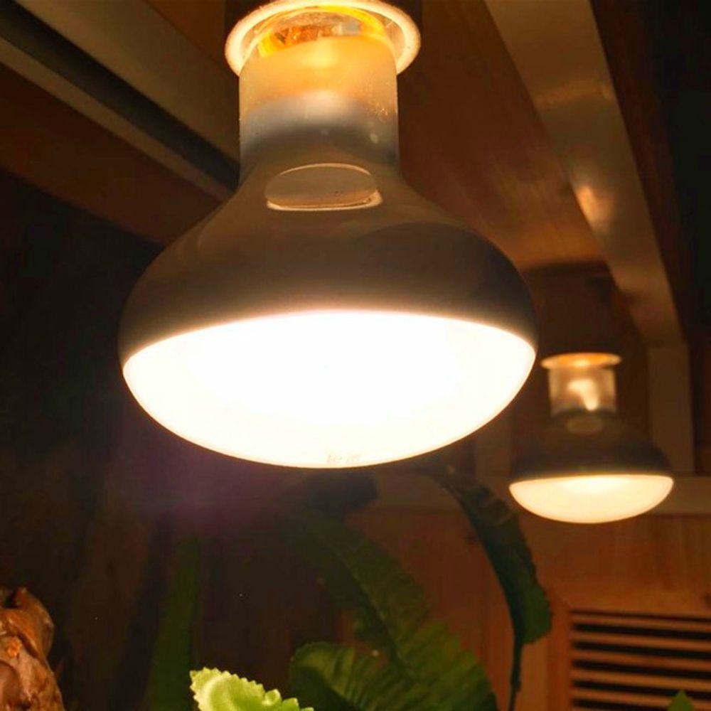 Turtle Heater Heat Lamp Reptil - Basking Bulb Halogen 评论和价格